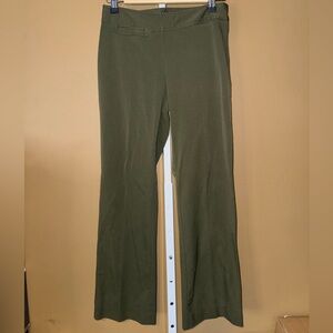 The Limited Stretch Size 2 Short Olive Green Women's Pants